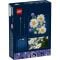 LEGO® Botanicals - Margarete (11508)