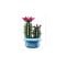 LEGO® Botanicals - Cactus inflorit (11509)