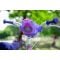 Bicicleta cu roti ajutatoare, Huffy, Disney Princess, 12 inch, Roz
