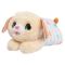 Jucarie de plus cu accesorii, FurReal, Catel, Portocaliu