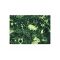 Puzzle fosforescent, Mimorello, Jungla, 120 piese
