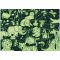Puzzle fosforescent, Mimorello, Zoo, 120 piese