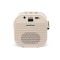 Boxa wireless cu 2 microfoane, OTL, K-Pop Demon Hunters PopSing