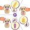 Jucarie de plus interactiva, Baby Paws, Just Born