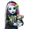 Papusa cu animal de companie, Monster High, Frankie Refresh, HXH73