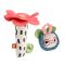 Jucarie zornaitoare Fisher Price, Albinuta cu floare, HYR56