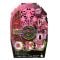 Papusa Draculara cu accesorii, Monster High, Secret Garden Misteries, HYT72