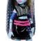 Papusa cu animal de companie, Monster High, Frankie Stein si Watzie, JHK31