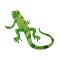 Figurina Mojo, Iguana
