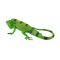 Figurina Mojo, Iguana