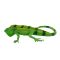 Figurina Mojo, Iguana