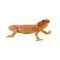 Figurina Mojo, Dragon Barbos