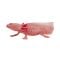 Figurina Mojo, Salamandra Axolotl