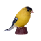 Figurina Mojo, Pasare American Goldfinch