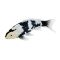 Figurina Mojo, Enthusiast Collection, Crap Koi, Shiro Utsuri