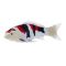 Figurina Mojo, Enthusiast Collection, Crap Koi, Showa Sanshoku