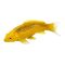 Figurina Mojo, Enthusiast Collection, Crap Koi, Kin Matsuba