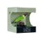 Figurina Mojo, Enthusiast Collection, Ciocanitoare Verde