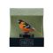 Figurina Mojo, Enthusiast Collection, Sturz Oriole Nordic