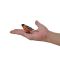 Figurina Mojo, Enthusiast Collection, Sturz Oriole Nordic