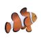 Figurina Mojo, Peste Clown