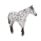 Figurina Mojo, Armasar Appaloosa, Alb