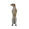 Figurina Mojo, Suricata