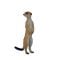 Figurina Mojo, Suricata