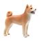 Figurina Mojo, Caine Shiba Inu