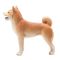 Figurina Mojo, Caine Shiba Inu