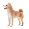 Figurina Mojo, Caine Shiba Inu