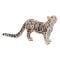 Figurina Mojo, Leopard patat