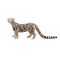 Figurina Mojo, Leopard patat