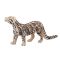 Figurina Mojo, Leopard patat