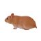 Figurina Mojo, Hamster