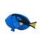 Figurina Mojo, Peste Blue Tang