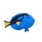 Figurina Mojo, Peste Blue Tang