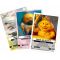 Set album si un pachet de carti, Panini, Skifidol Italian Brainrot, Starter Pack
