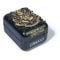 Jucarie interactiva, Bitzee, Harry Potter, 6072599