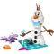 LEGO® Disney Princess - Distractie la picnic cu Olaf si Bruni (43287)