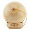 Jucarie de indemanare din lemn, Kendama X, Frequency Flippy, Super Sticky, 18 cm, Portocaliu, Maro