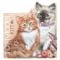 Carte de colorat, Depesche, TOPModel, Kitty
