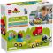 LEGO® DUPLO - Vehicule creative (10474)