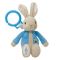 Jucarie bebelusi agatatoare cu vibratii Peter Rabbit, 22 cm