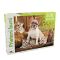 Puzzle Noriel 500 de piese - Prieteni buni