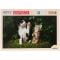 Puzzle Luxury, Witty Puzzlezz, Catel si pisicuta, 100 piese