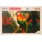 Puzzle Luxury, Witty Puzzlezz, Papagal, 100 piese