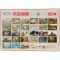 Puzzle Luxury, Witty Puzzlezz, Papagal, 100 piese