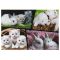 Puzzle Witty Puzzlezz, Animalute pufoase, 35 piese
