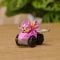 Mini vehicul cu figurina, Paw Patrol the Dino Movie, Pup Squad Racers, Skye, 20157139